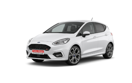 klasse B Ford Fiesta huren (1)